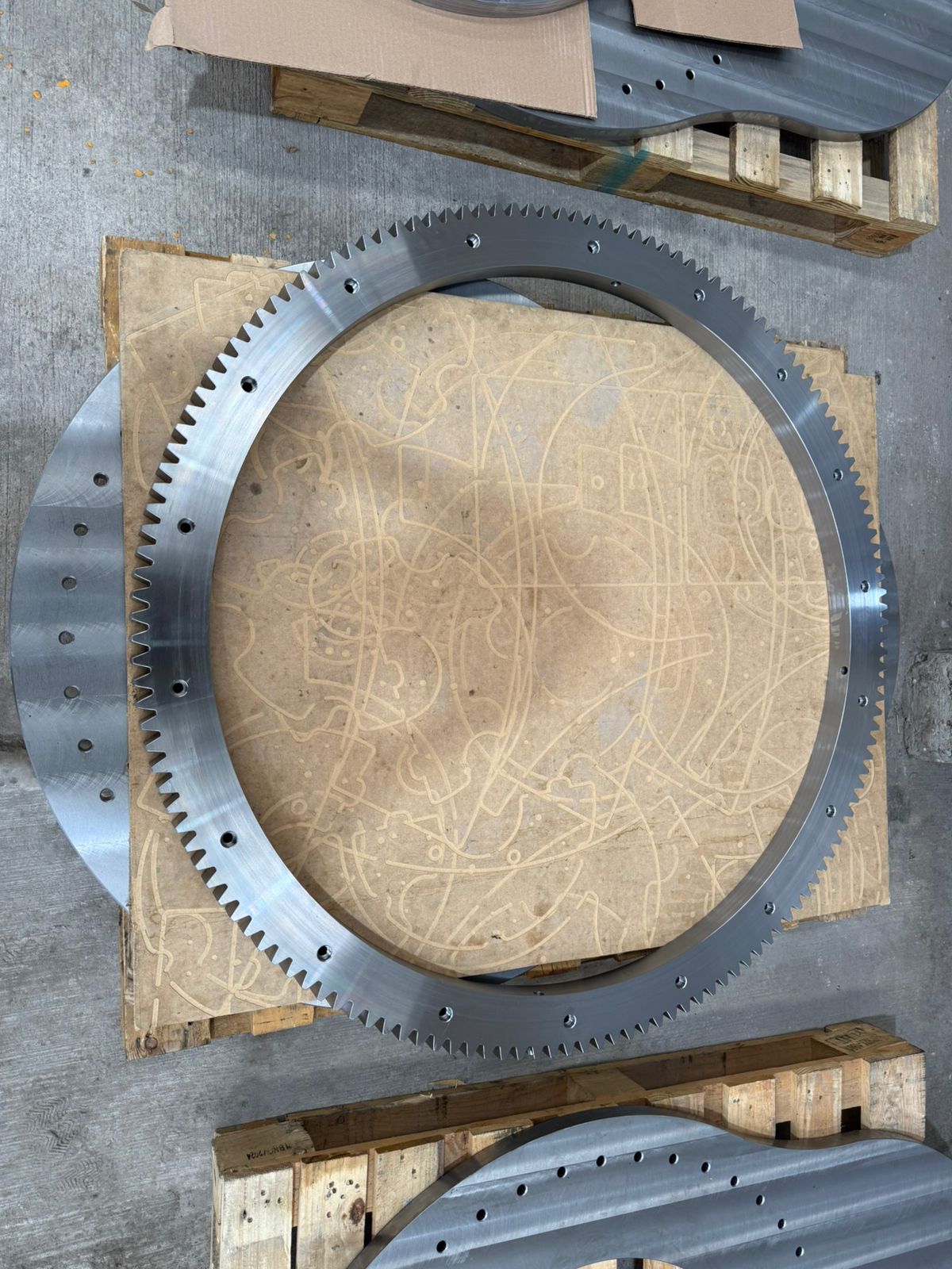 Corona dentada vista cenital